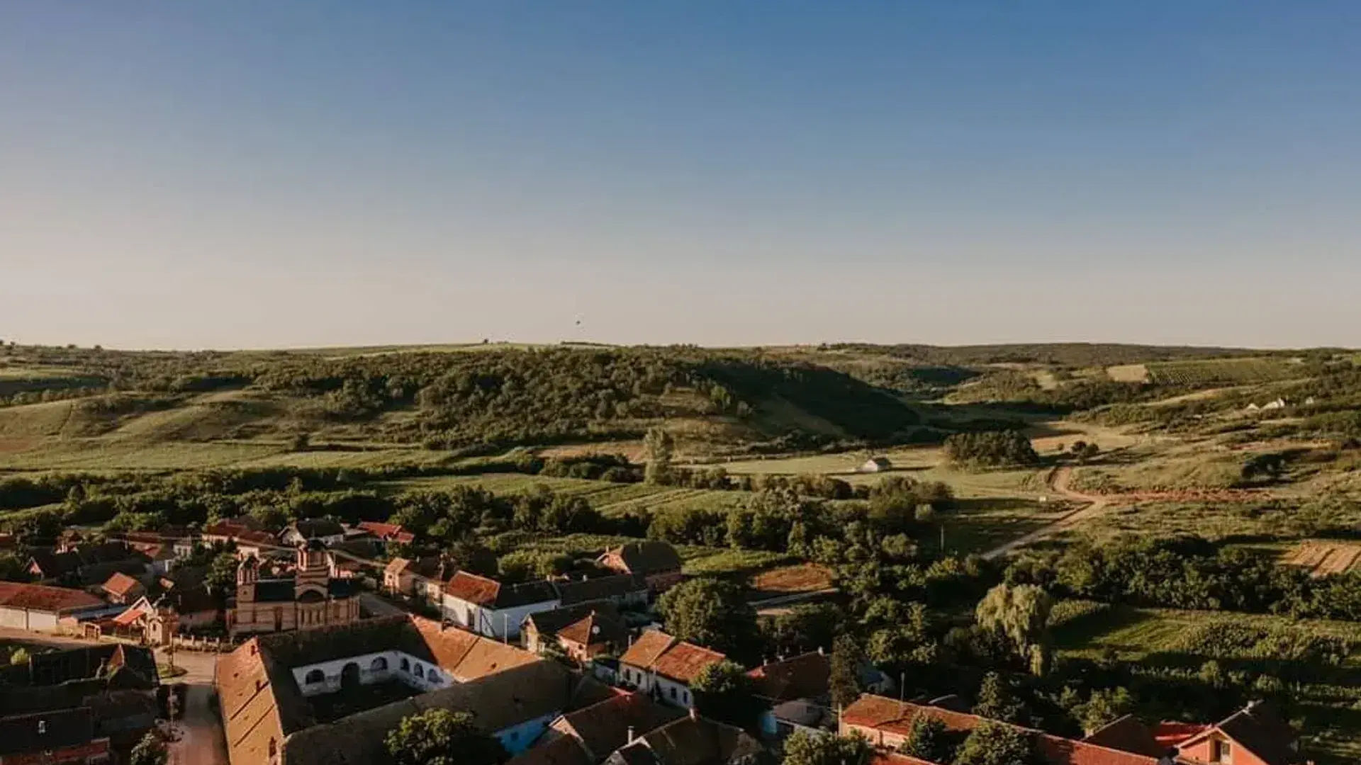 Gudurica Wine Tours
